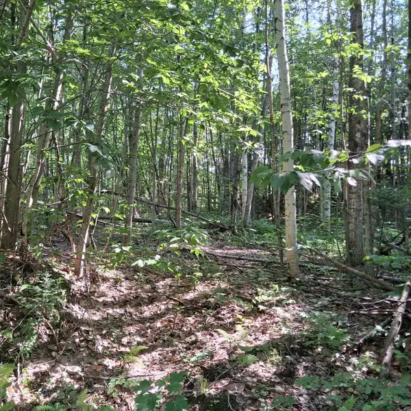 Lot 3 Ballground Road, Westfield, VT 05874