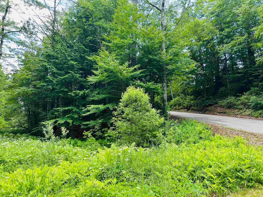 Highland Street, Whitefield, NH 03598 - #3