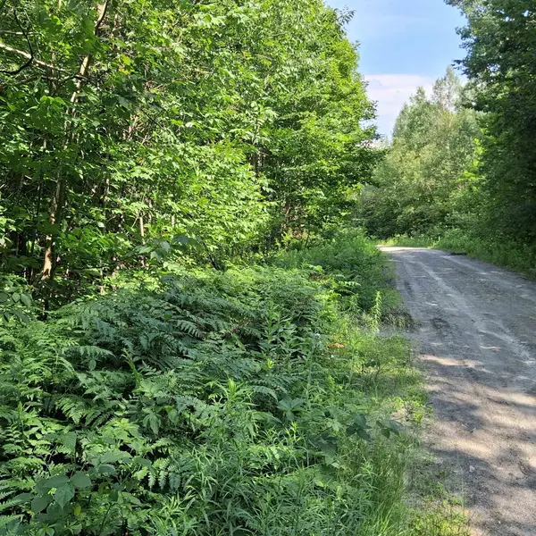 0000 Ballground Road #1-5, Westfield, VT 05874
