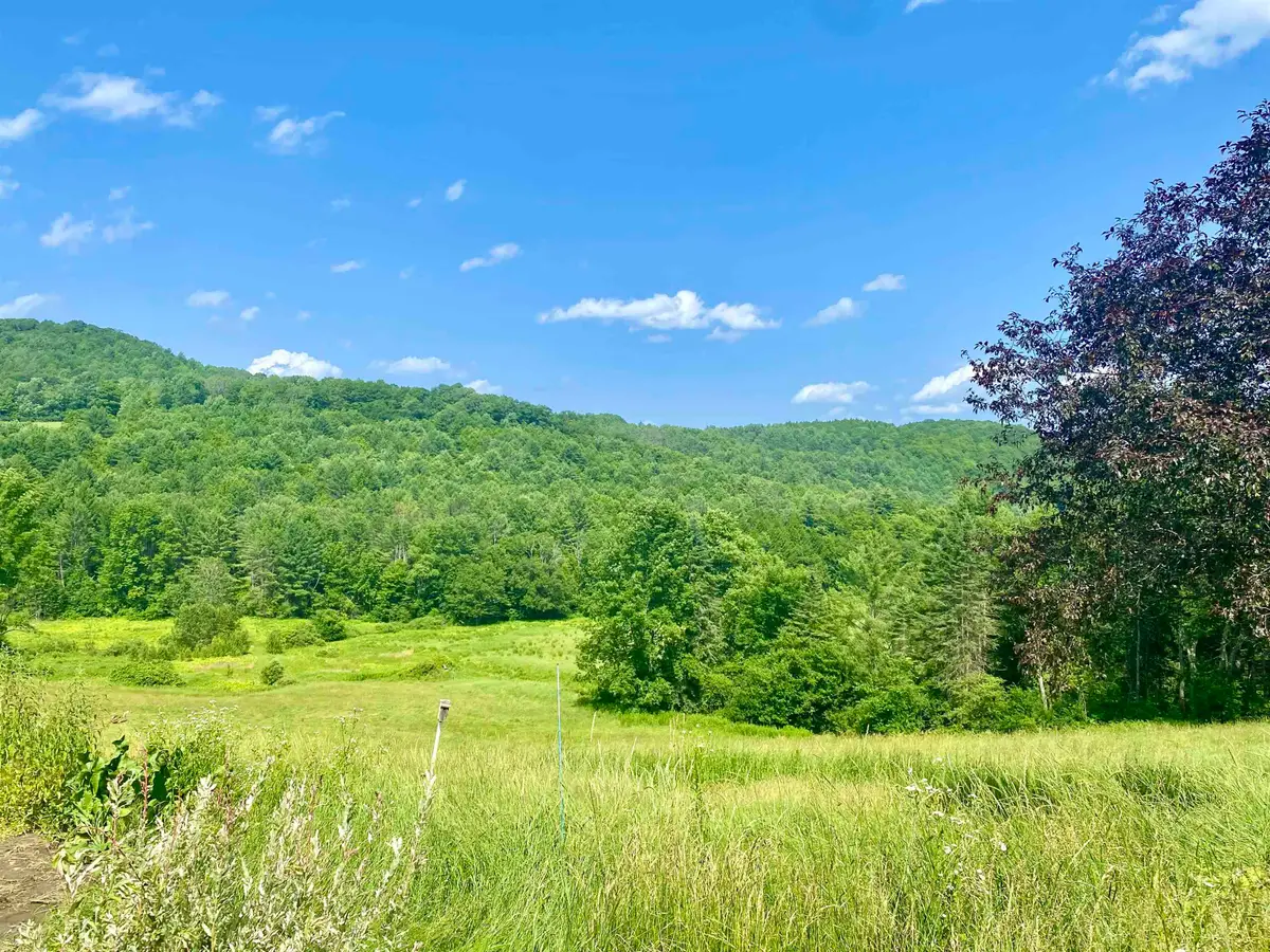 90 Limey Lane, Pomfret, VT 05053 - #1