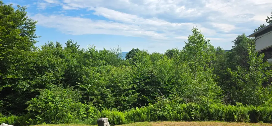 11 Ocean View Boulevard, Groton, NH 03241 - #2