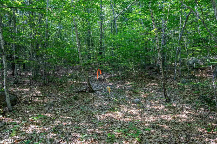 Lot 4.1 Tommy Lot Road, Moultonborough, NH 03254 - #2