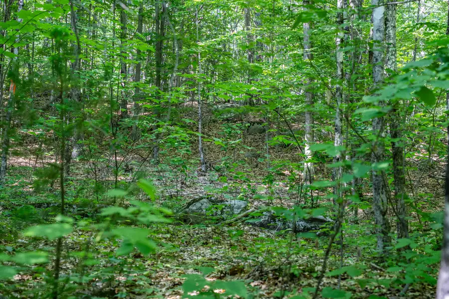 Lot 4.1 Tommy Lot Road, Moultonborough, NH 03254 - #3