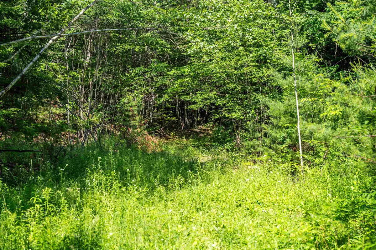 Lot 4.2 Tommy Lot Road, Moultonborough, NH 03254 - #1