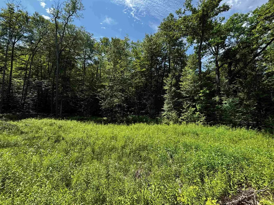 00 Quarry Road, Chester, VT 01543 - #3