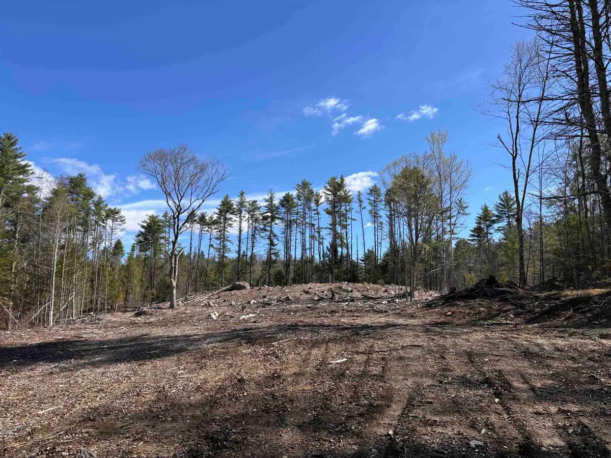 L:64 & 65 Old Turnpike Road, Richmond, NH 03470 - #1