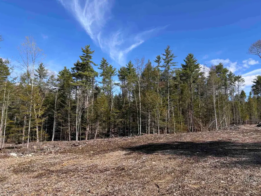 L:64 & 65 Old Turnpike Road, Richmond, NH 03470 - #2
