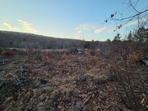 672-5 Bog Road #Lot 5, Enfield, NH 03748