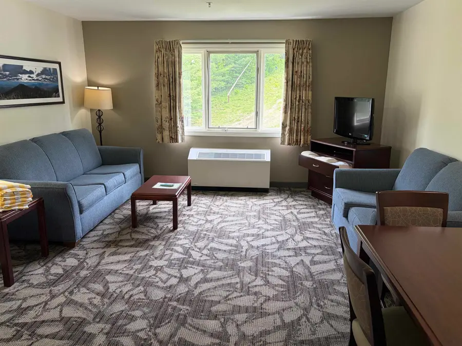 205 Grand Summit Drive, Bartlett, NH 03812 - #3