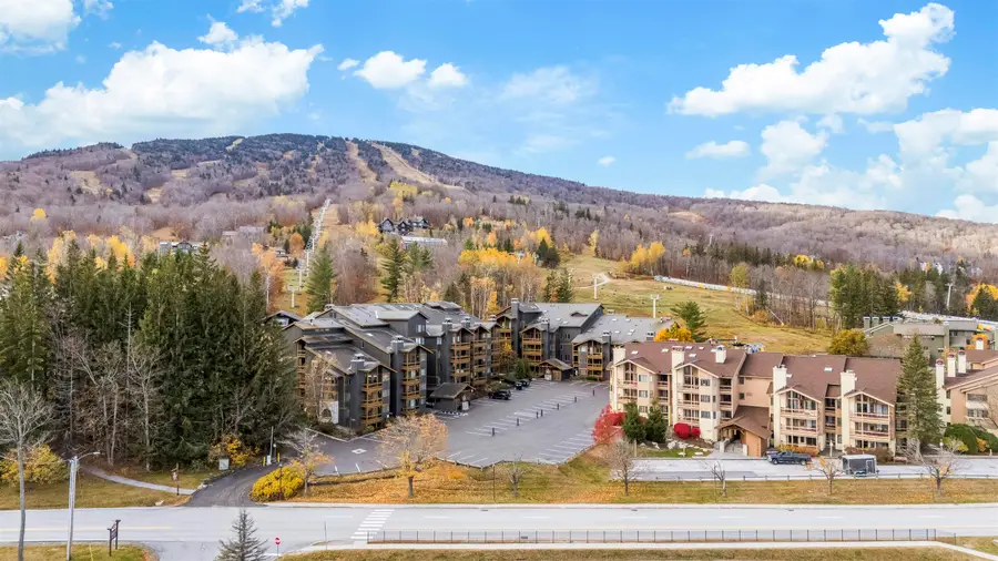 778 Stratton Mountain Access Road #2302, Stratton Mountain, VT 05155 - #3