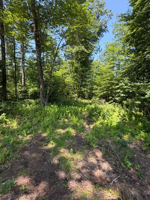 30 Cricket Corner Road, Amherst, NH 03031
