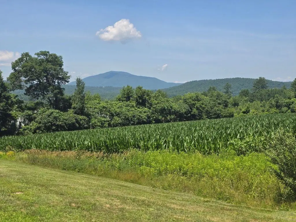 509 River Road, Claremont, NH 03743 - #1