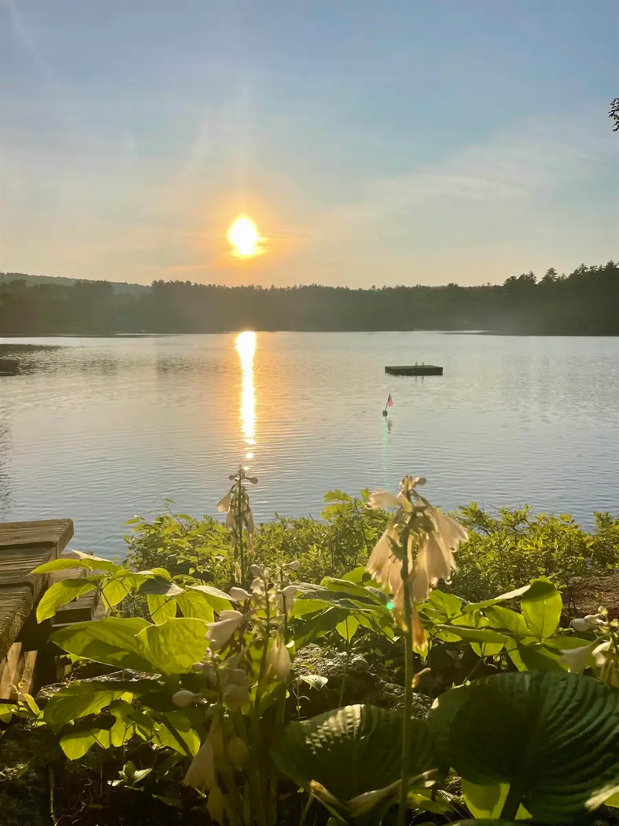 6 Lake Shore Terrace, Hillsborough, NH 03244 - #2