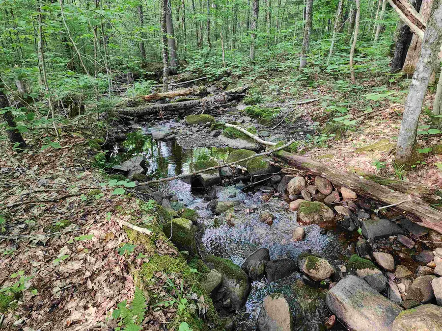 000 Hampshire Woods Loop #R013-0007-0039, Errol, NH 03579 - #2