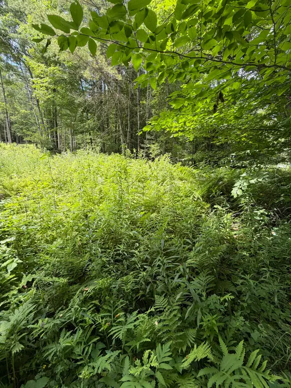 100 Ledge Road, Lisbon, NH 03585