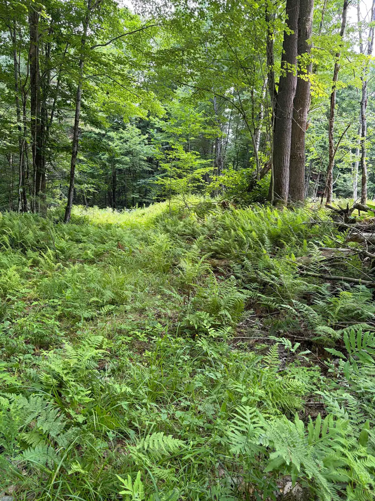 100 Ledge & 129 Hodge Hill Road, Lisbon, NH 03585 - #1