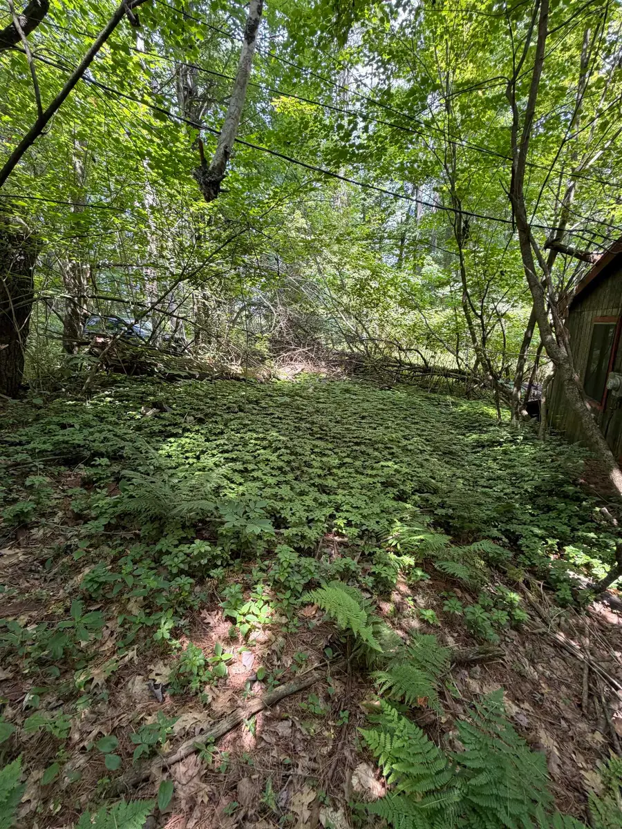 100 Ledge & 129 Hodge Hill Road, Lisbon, NH 03585 - #3