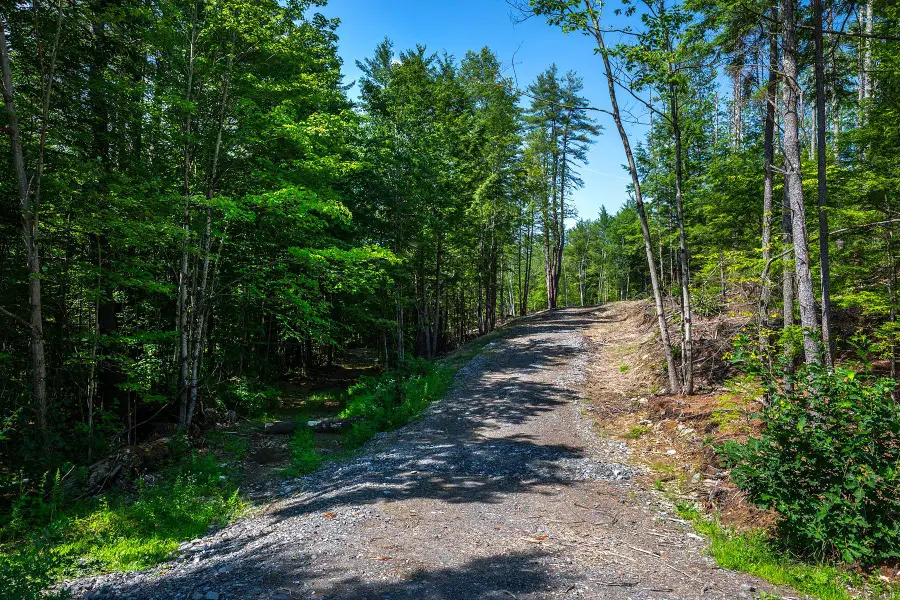 40 E Putney Brook Road, Putney, VT 05346 - #3