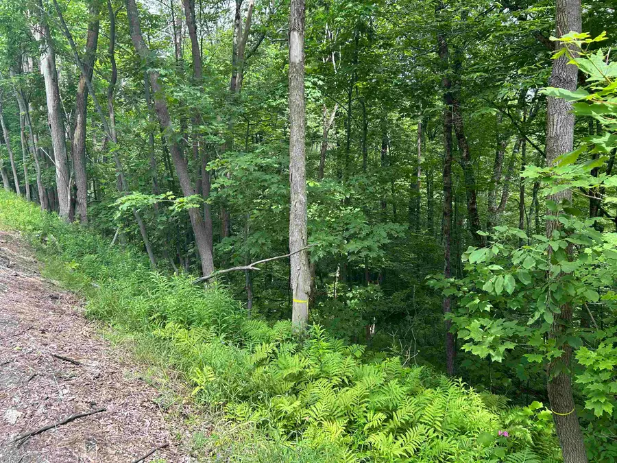 0 Route 30, Winhall, VT 05340 - #3