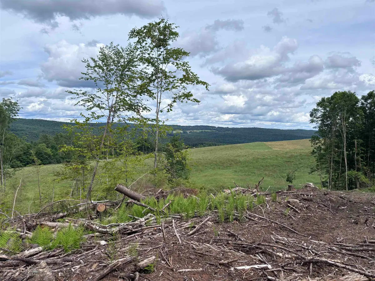 0 Davis Acres Road, Brookfield, VT 05060 - #1