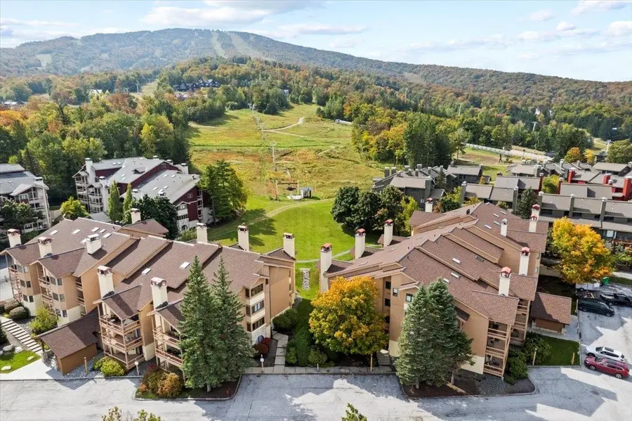 778 Stratton Mountain Access Road #2401, Stratton Mountain, VT 05155 - #3