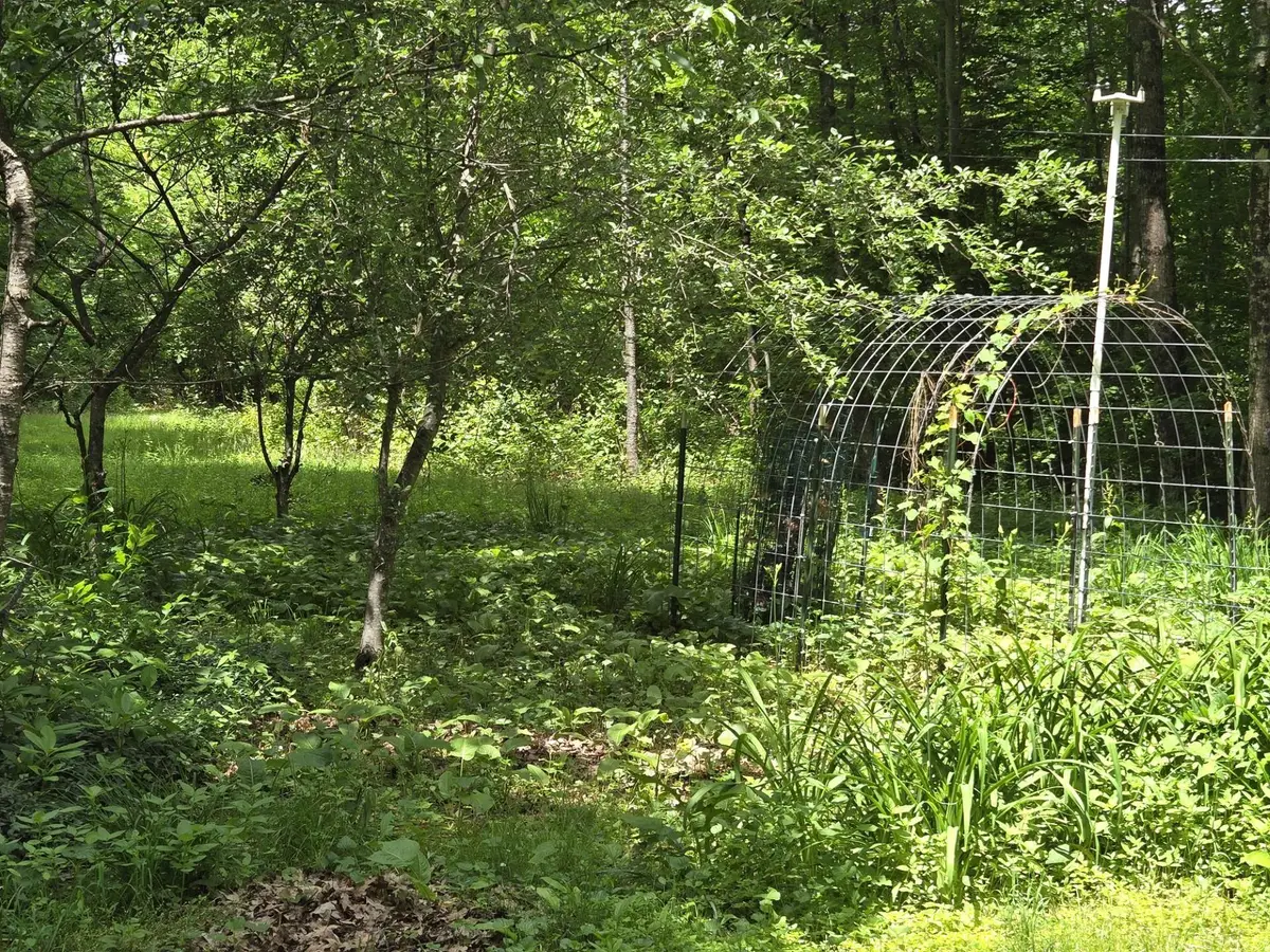 208 NH Route 3A, Hill, NH 03243 - #1