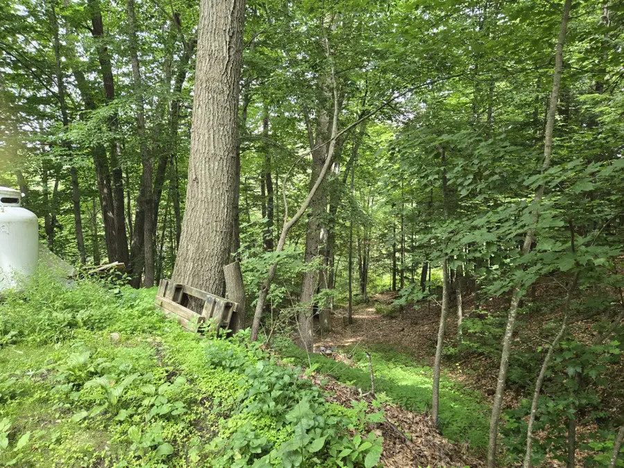208 NH Route 3A, Hill, NH 03243 - #2