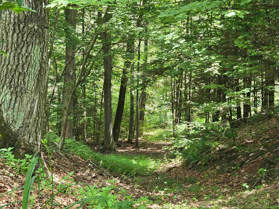 208 NH Route 3A, Hill, NH 03243 - #3