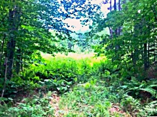 540 Shampeny Hill Road, Hancock, VT 05748 - #3