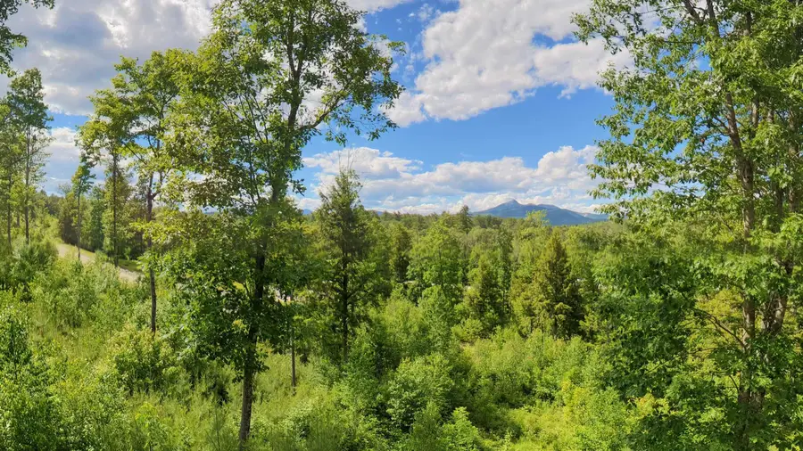 Lot 8 Whipples Way, Chocorua, NH 03817 - #2
