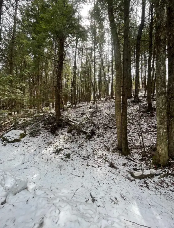 000 Hinkley Brook Road, Grafton, VT 05146