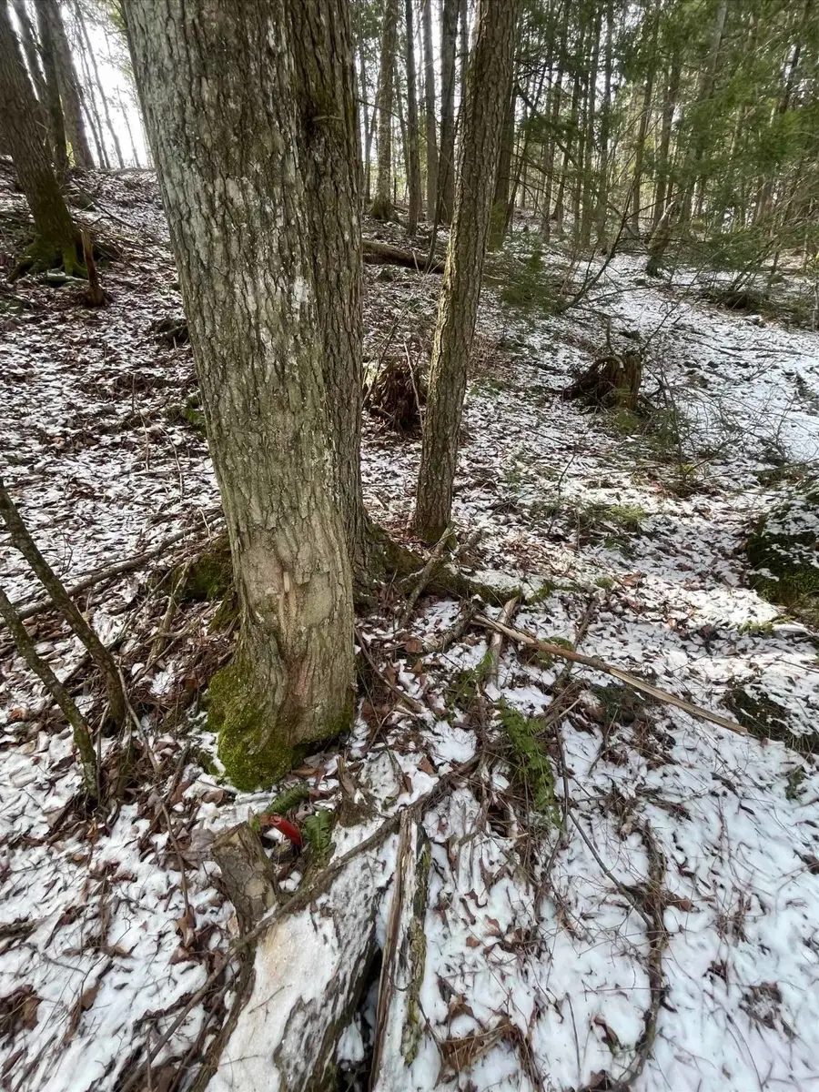000 Hinkley Brook Road, Grafton, VT 05146 - #2