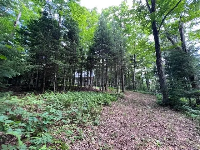 528 Paradise Lane, Charleston, VT 05872 - #3