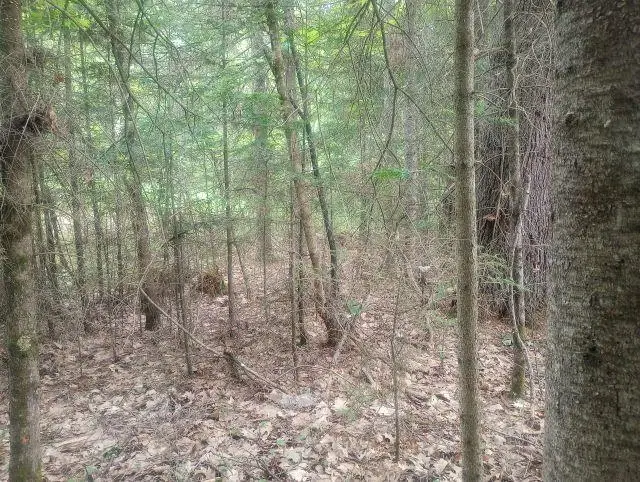 Swiftwater Circle #255, Mountain Lakes, NH 03785 - #2