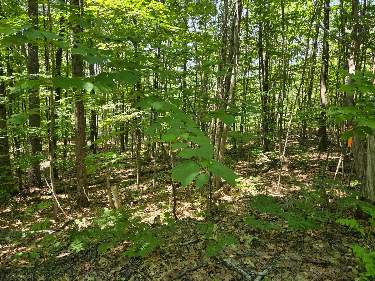 X Methodist Hill Road, Enfield, NH 03748 - #1