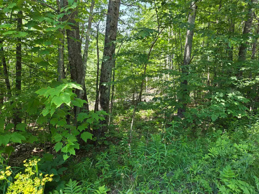 X Methodist Hill Road, Enfield, NH 03748 - #2