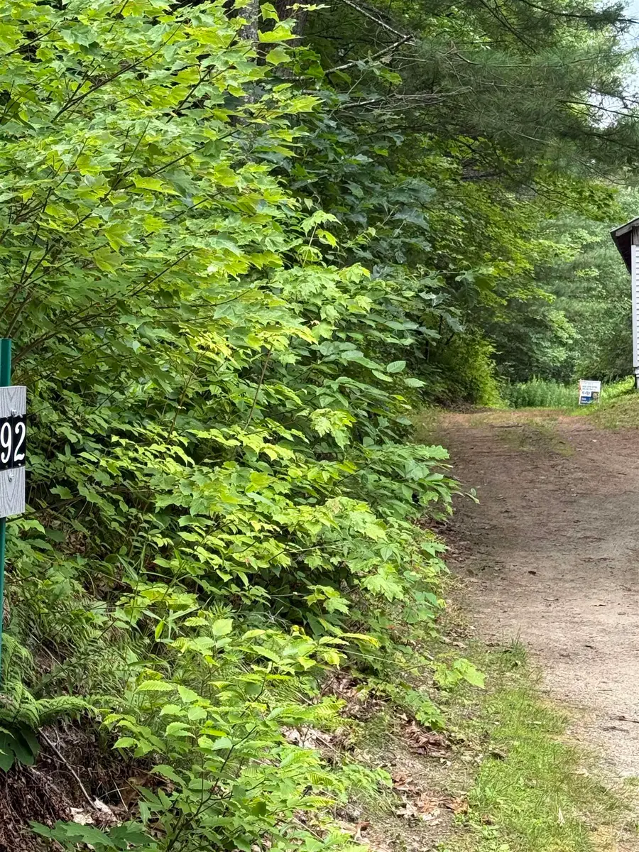 90 Stone Hill Road, Rumney, NH 03266 - #2