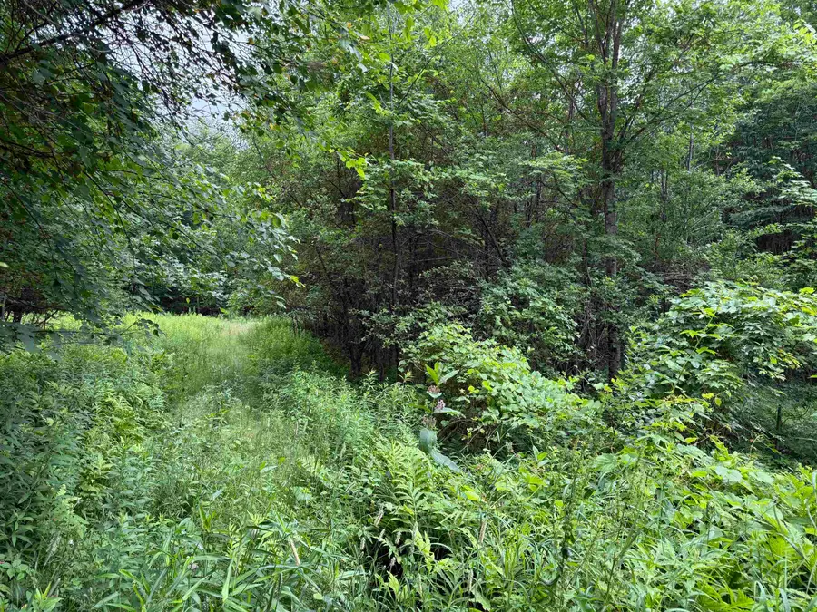 90 Stone Hill Road, Rumney, NH 03266 - #3
