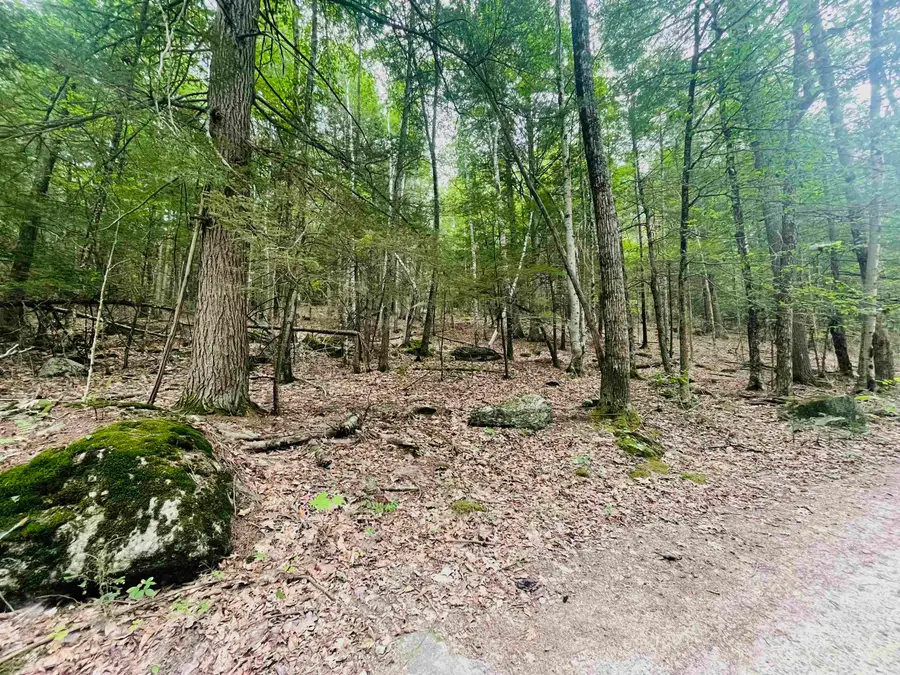 Lot 11 True Road #R23-Lot 11, Pittsfield, NH 03263 - #2