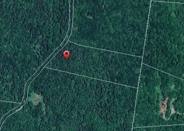 00 Chaos Turnpike, Cavendish, VT 05142
