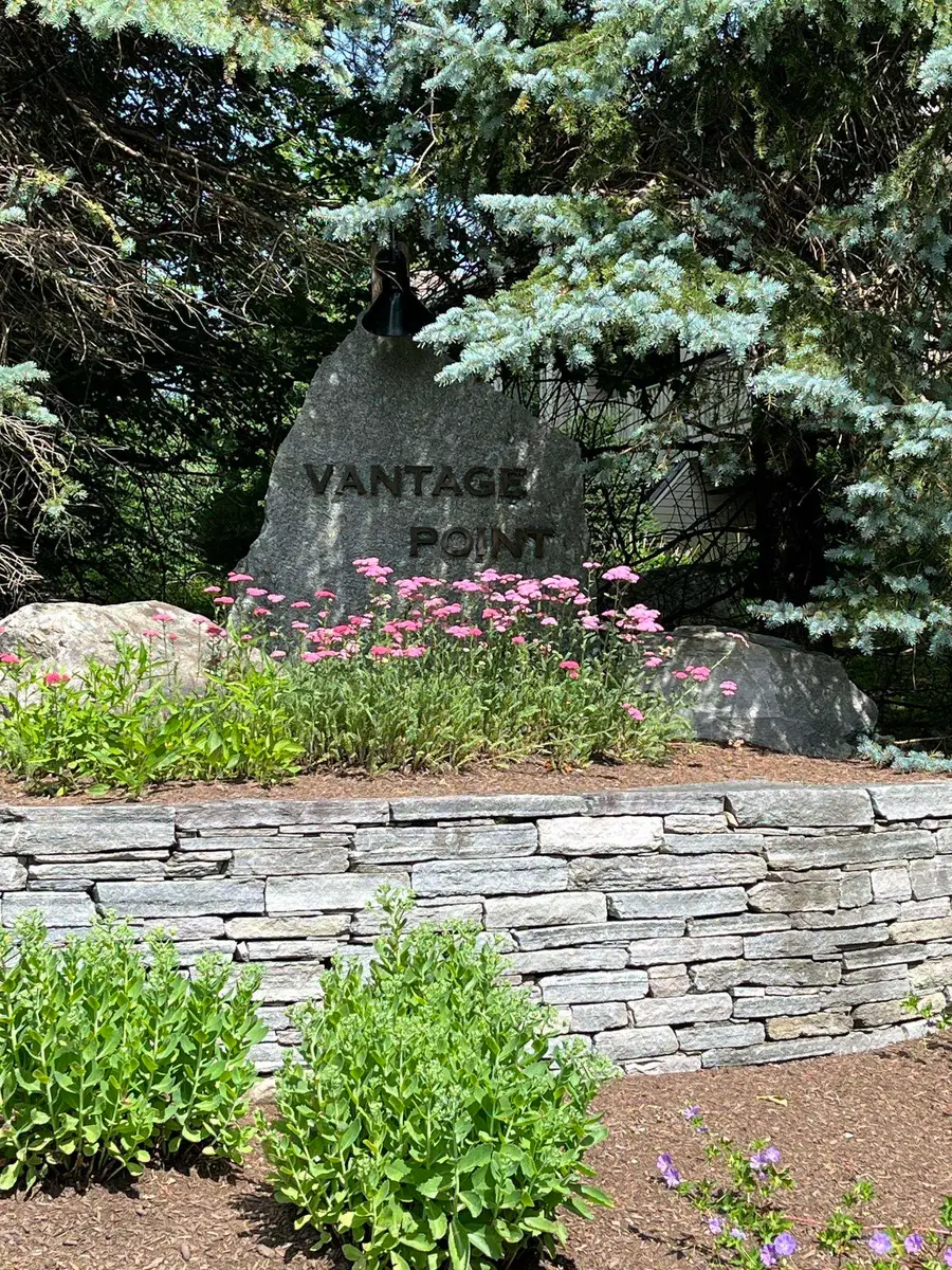65 East Birch Road #43, Stratton Mountain, VT 05155 - #2