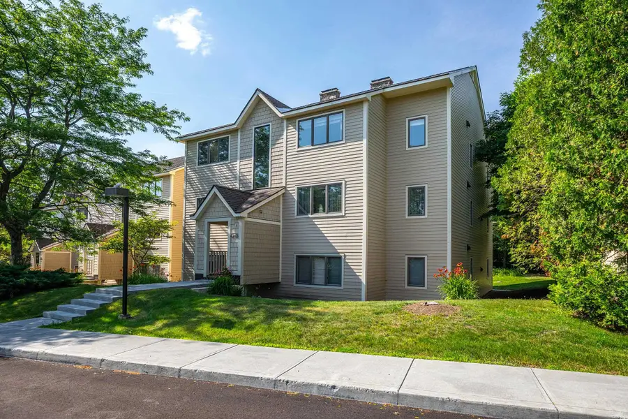 65 East Birch Road #43, Stratton Mountain, VT 05155 - #3