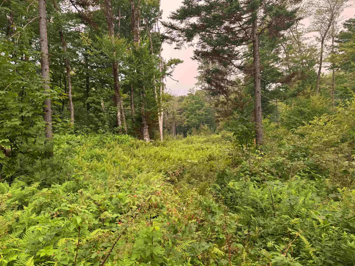 185 Valley View Road, Dover, VT 05356 - #1