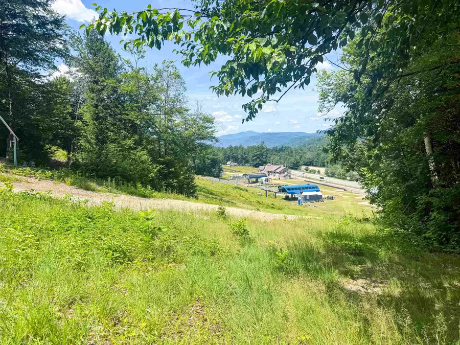 243 Cow Hill Road #5, Bartlett, NH 03812 - #3