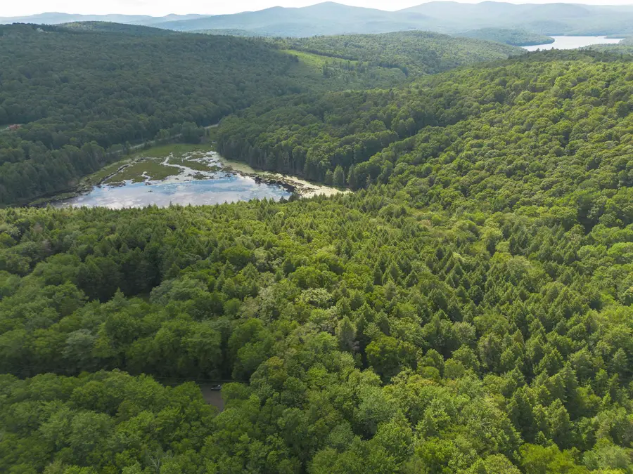 00 Ryder Pond Road, Whitingham, VT 05361 - #3