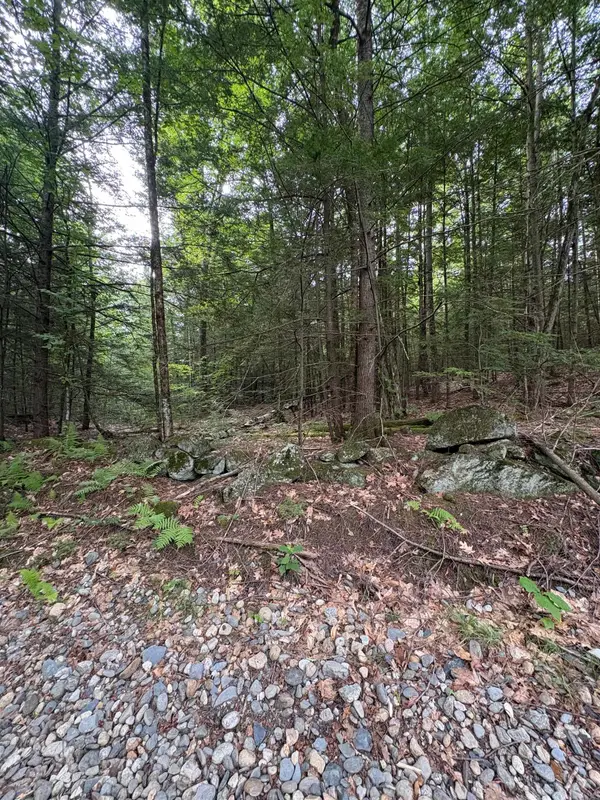 0 Access Road #MAP 18A LOT 15, Chesterfield, NH 03462