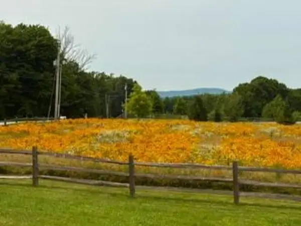 744 Ashby Road, New Ipswich, NH 03071-3506