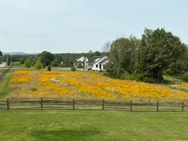 744 Ashby Road, New Ipswich, NH 03071-3506 - #3