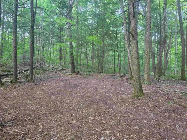 0ff Robin Hill Road, Townshend, VT 05359