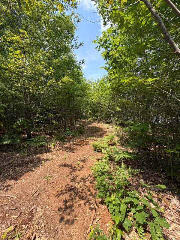 Map 206 Lot 28 Whittier Road, Tamworth, NH 03890